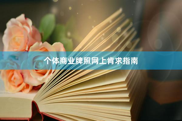 个体商业牌照网上肯求指南