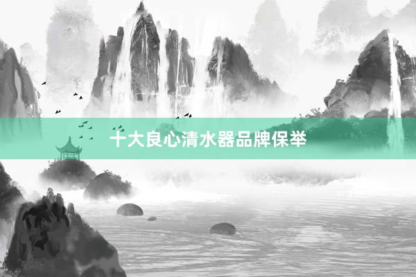 十大良心清水器品牌保举