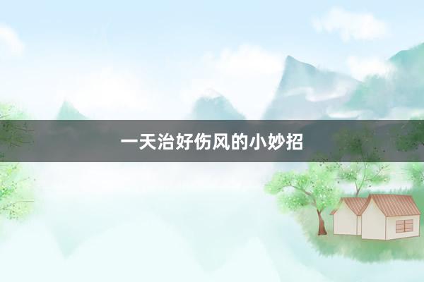 一天治好伤风的小妙招