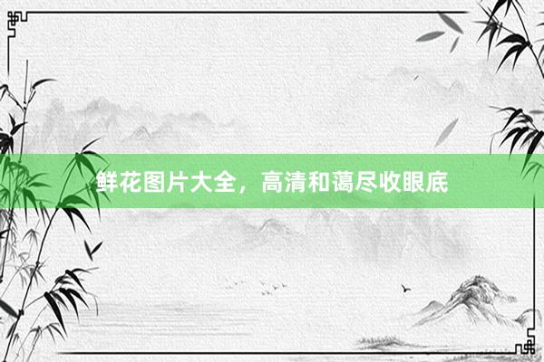 鲜花图片大全，高清和蔼尽收眼底