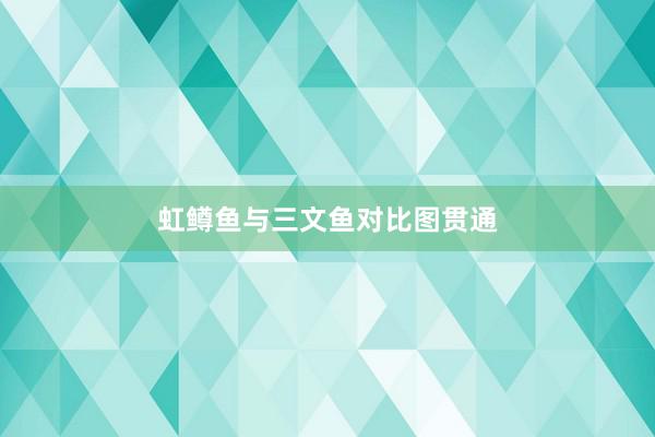 虹鳟鱼与三文鱼对比图贯通