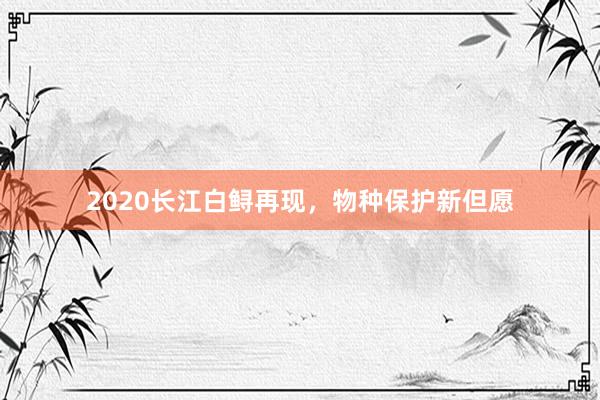 2020长江白鲟再现，物种保护新但愿