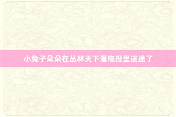 小兔子朵朵在丛林天下滙电投里迷途了